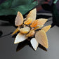 Antique Vintage Carved Mother of Pearl Flowers & Leaves Brooch