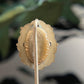 Antique Vintage Art Deco Purple Blue Art Glass Stickpin